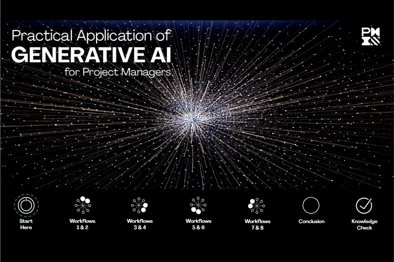 241230 Practical Application AI