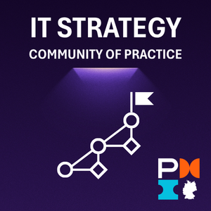 CoP IT-Strategie