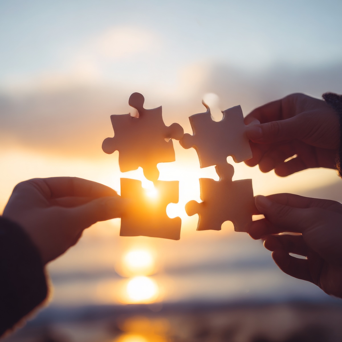 260408 VolunteeringBewegt