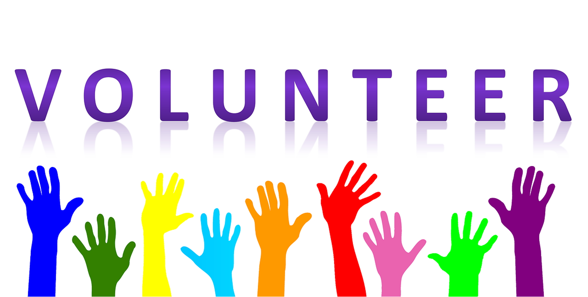 230311 Volunteer