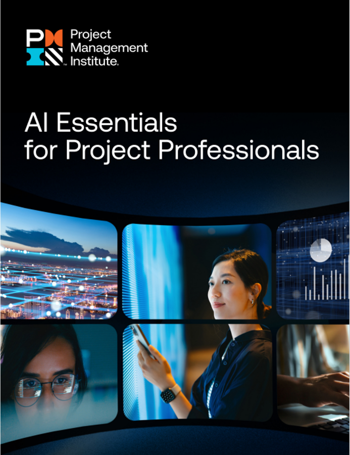 240922 AI ProjectProfessionals