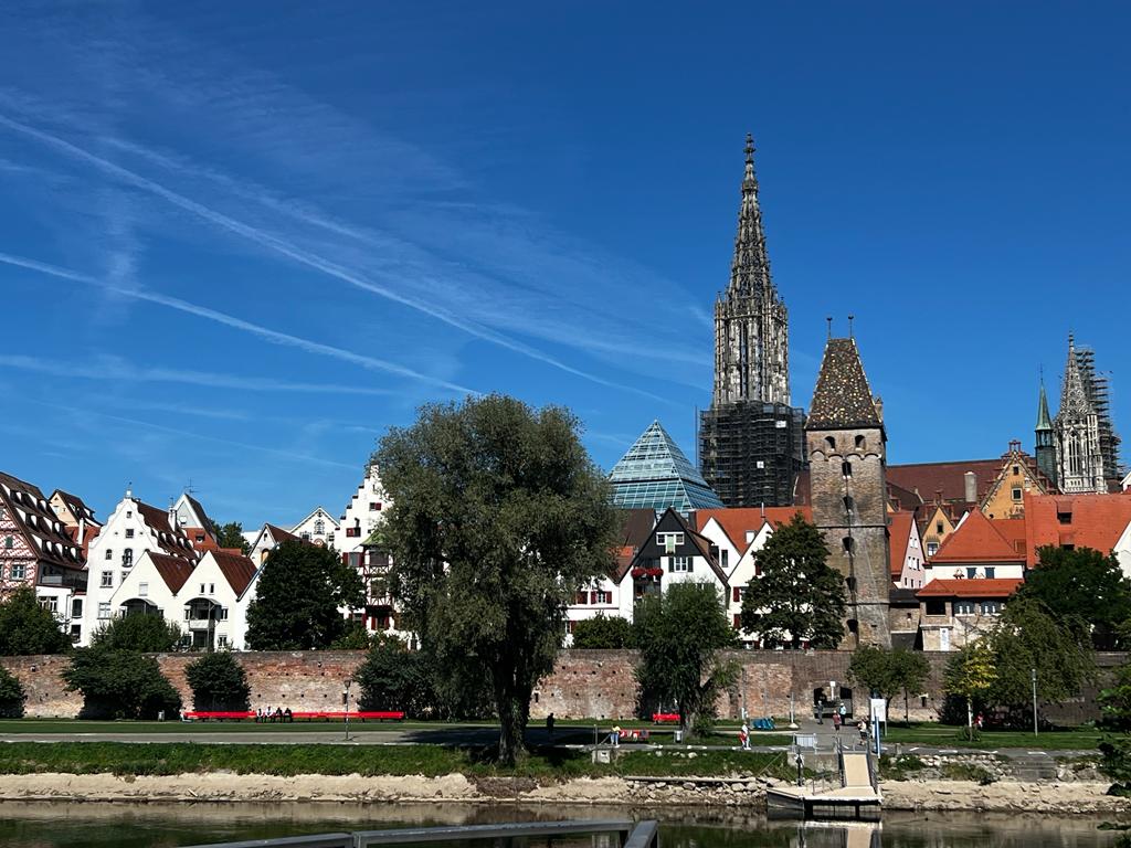 Local Group Ulm